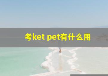 考ket pet有什么用